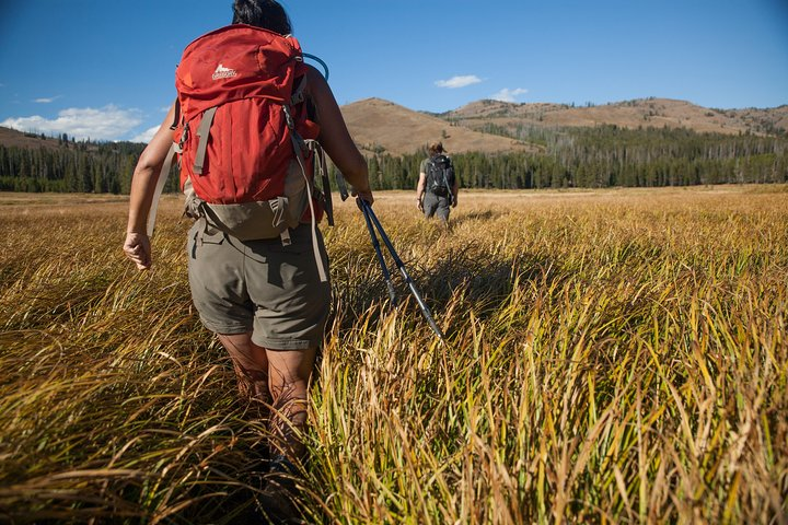 Yellowstone Full Day Private Tour & Hike - Pickup from Jackson - Photo 1 of 7